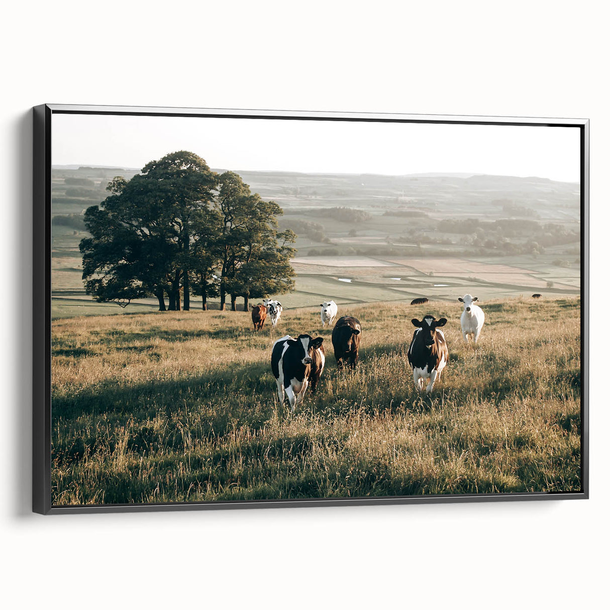 Farmhouse Wall Art: Cows in Pasture - Rustic Country Style Decor Print
