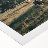 Farmhouse Wall Art: Cows in Pasture - Rustic Country Style Decor Print