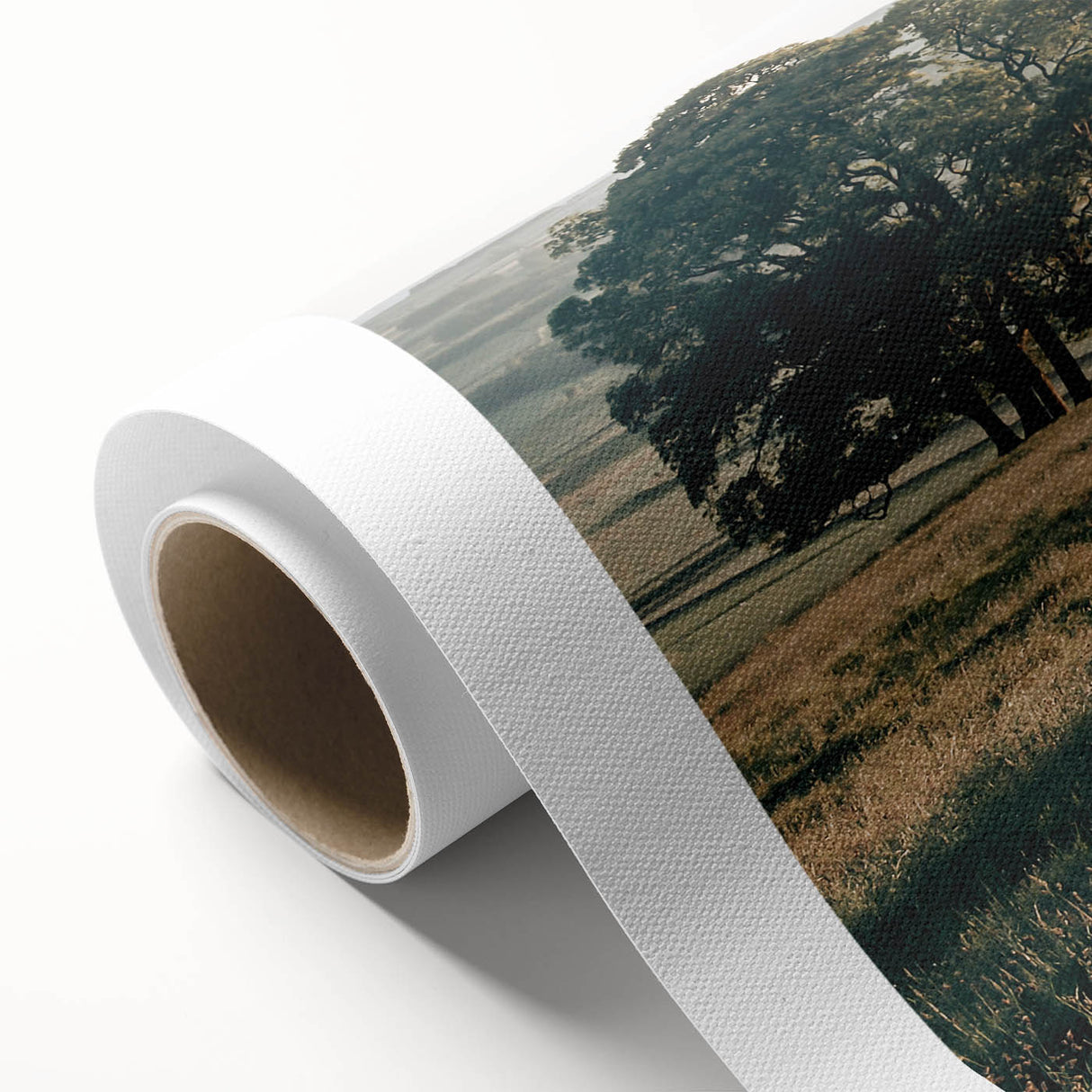 Farmhouse Wall Art: Cows in Pasture - Rustic Country Style Decor Print