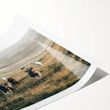 Farmhouse Wall Art: Cows in Pasture - Rustic Country Style Decor Print