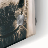 Farmhouse Wall Art - Close-Up Horse Nose Rustic Country Style Decor