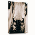 Farmhouse Wall Art - Close-Up Horse Nose Rustic Country Style Decor