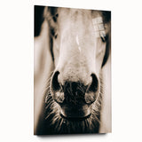 Farmhouse Wall Art - Close-Up Horse Nose Rustic Country Style Decor