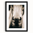 Farmhouse Wall Art - Close-Up Horse Nose Rustic Country Style Decor
