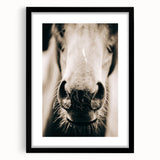 Farmhouse Wall Art - Close-Up Horse Nose Rustic Country Style Decor