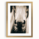 Farmhouse Wall Art - Close-Up Horse Nose Rustic Country Style Decor