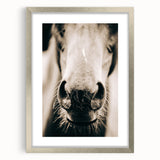 Farmhouse Wall Art - Close-Up Horse Nose Rustic Country Style Decor