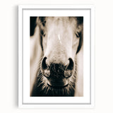 Farmhouse Wall Art - Close-Up Horse Nose Rustic Country Style Decor