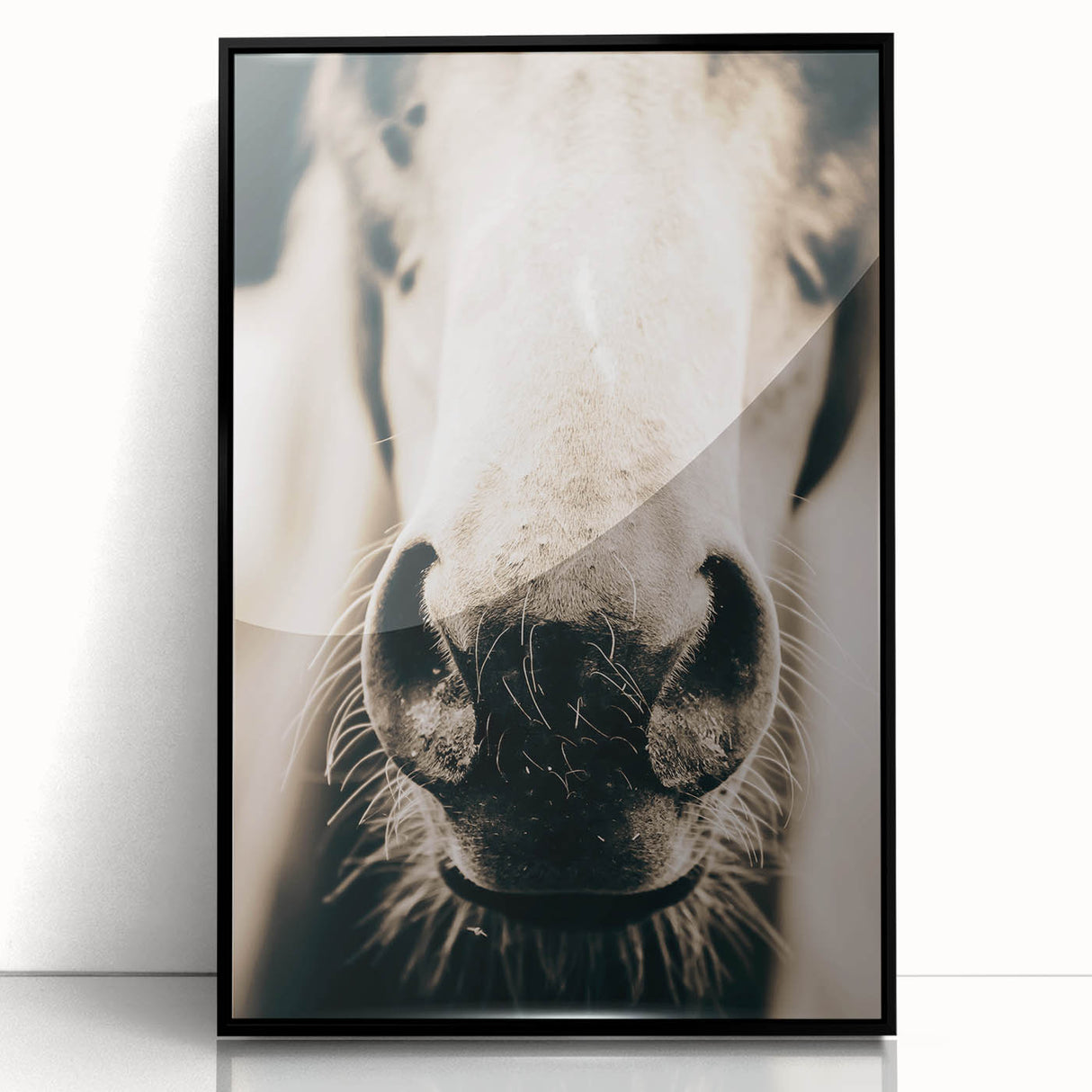 Farmhouse Wall Art - Close-Up Horse Nose Rustic Country Style Decor