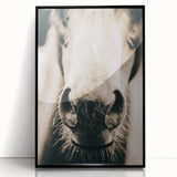 Farmhouse Wall Art - Close-Up Horse Nose Rustic Country Style Decor