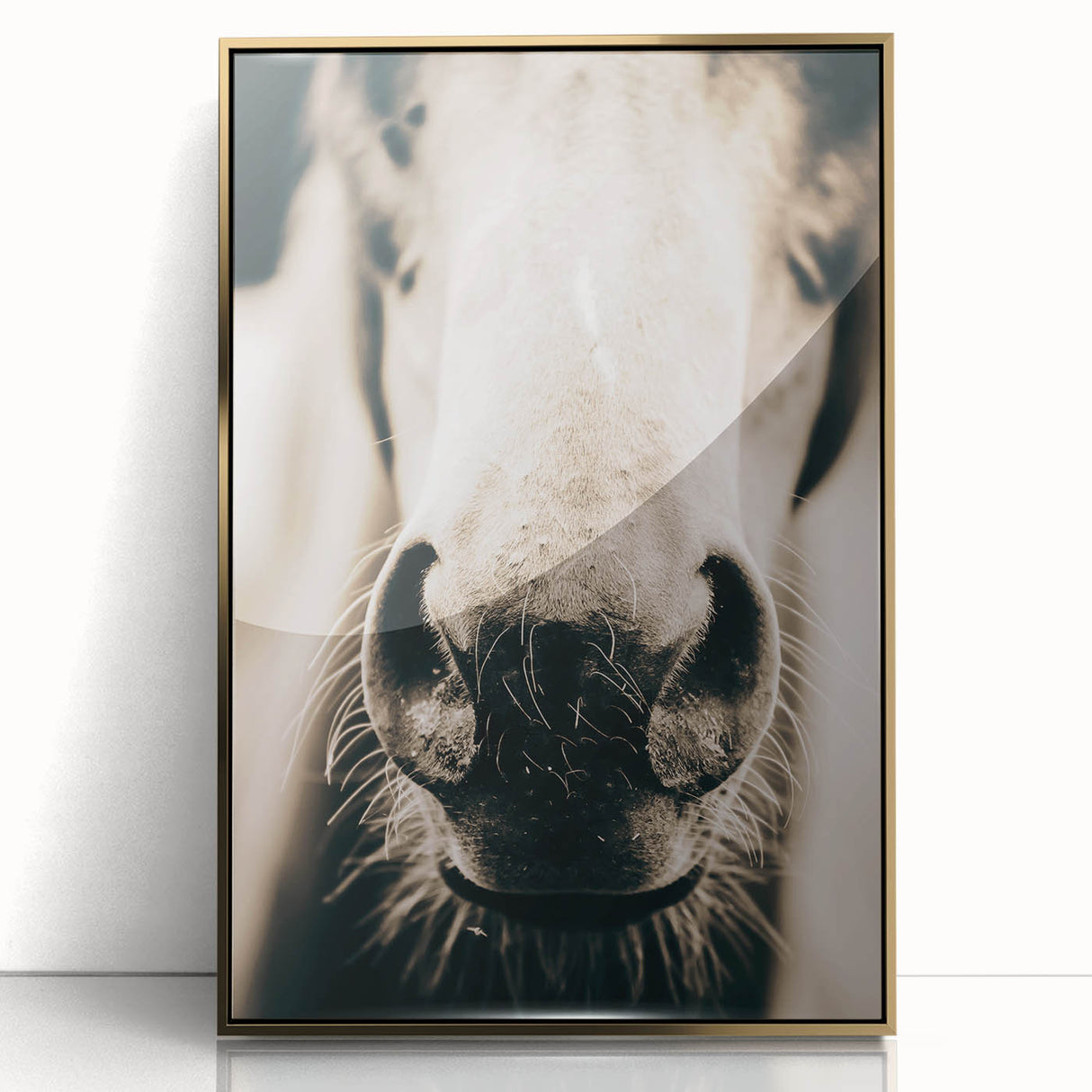 Farmhouse Wall Art - Close-Up Horse Nose Rustic Country Style Decor