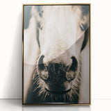 Farmhouse Wall Art - Close-Up Horse Nose Rustic Country Style Decor