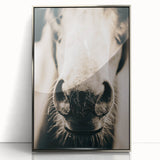 Farmhouse Wall Art - Close-Up Horse Nose Rustic Country Style Decor
