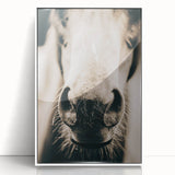 Farmhouse Wall Art - Close-Up Horse Nose Rustic Country Style Decor