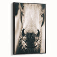 Farmhouse Wall Art - Close-Up Horse Nose Rustic Country Style Decor