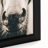 Farmhouse Wall Art - Close-Up Horse Nose Rustic Country Style Decor