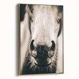 Farmhouse Wall Art - Close-Up Horse Nose Rustic Country Style Decor