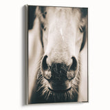 Farmhouse Wall Art - Close-Up Horse Nose Rustic Country Style Decor