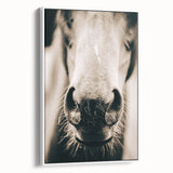 Farmhouse Wall Art - Close-Up Horse Nose Rustic Country Style Decor