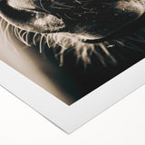 Farmhouse Wall Art - Close-Up Horse Nose Rustic Country Style Decor