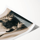 Farmhouse Wall Art - Close-Up Horse Nose Rustic Country Style Decor