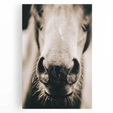 Farmhouse Wall Art - Close-Up Horse Nose Rustic Country Style Decor