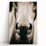 Farmhouse Wall Art - Close-Up Horse Nose Rustic Country Style Decor