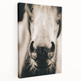 Farmhouse Wall Art - Close-Up Horse Nose Rustic Country Style Decor