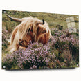 Farmhouse Wall Art: Highland Cow in Meadow - Rustic Country Decor Print