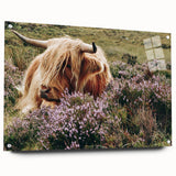 Farmhouse Wall Art: Highland Cow in Meadow - Rustic Country Decor Print