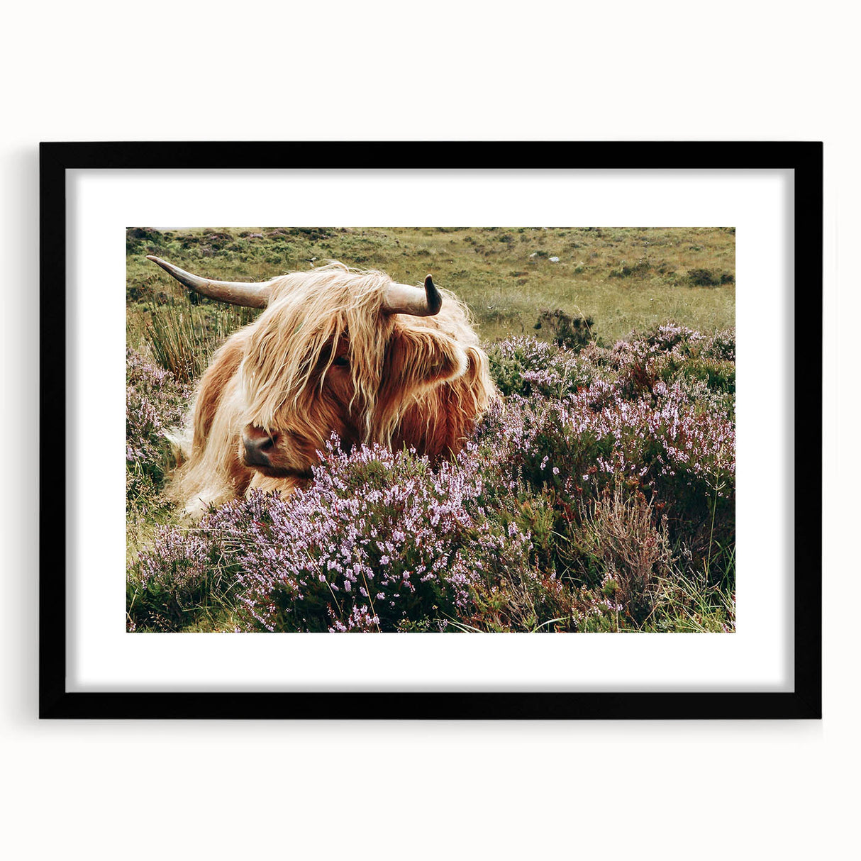 Farmhouse Wall Art: Highland Cow in Meadow - Rustic Country Decor Print