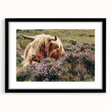 Farmhouse Wall Art: Highland Cow in Meadow - Rustic Country Decor Print