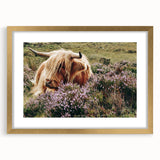 Farmhouse Wall Art: Highland Cow in Meadow - Rustic Country Decor Print