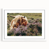 Farmhouse Wall Art: Highland Cow in Meadow - Rustic Country Decor Print