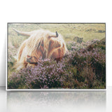 Farmhouse Wall Art: Highland Cow in Meadow - Rustic Country Decor Print