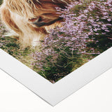 Farmhouse Wall Art: Highland Cow in Meadow - Rustic Country Decor Print