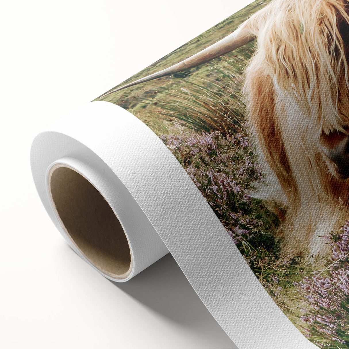 Farmhouse Wall Art: Highland Cow in Meadow - Rustic Country Decor Print