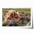 Farmhouse Wall Art: Highland Cow in Meadow - Rustic Country Decor Print