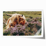 Farmhouse Wall Art: Highland Cow in Meadow - Rustic Country Decor Print