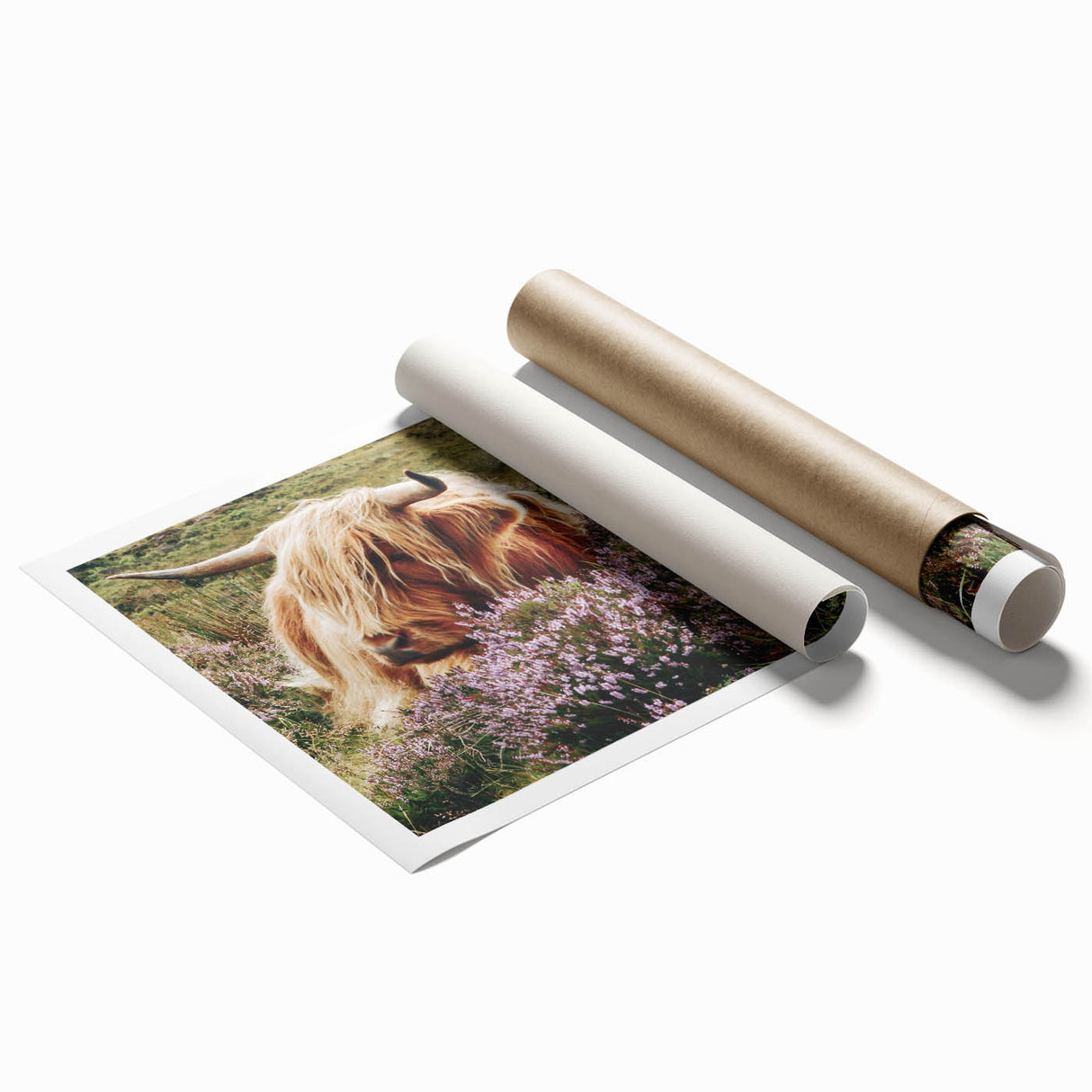 Farmhouse Wall Art: Highland Cow in Meadow - Rustic Country Decor Print