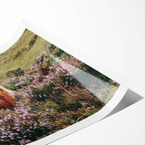 Farmhouse Wall Art: Highland Cow in Meadow - Rustic Country Decor Print