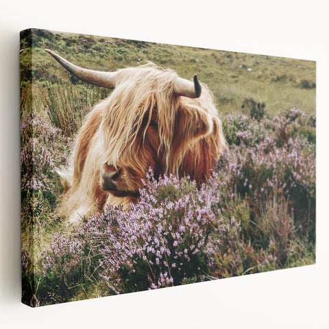 Farmhouse Wall Art: Highland Cow in Meadow - Rustic Country Decor Print