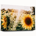 Farmhouse Wall Art: Sunflowers in Bloom - Rustic Country Style Decor Print