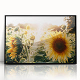 Farmhouse Wall Art: Sunflowers in Bloom - Rustic Country Style Decor Print