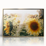Farmhouse Wall Art: Sunflowers in Bloom - Rustic Country Style Decor Print