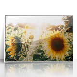 Farmhouse Wall Art: Sunflowers in Bloom - Rustic Country Style Decor Print