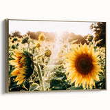 Farmhouse Wall Art: Sunflowers in Bloom - Rustic Country Style Decor Print