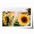 Farmhouse Wall Art: Sunflowers in Bloom - Rustic Country Style Decor Print
