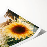 Farmhouse Wall Art: Sunflowers in Bloom - Rustic Country Style Decor Print