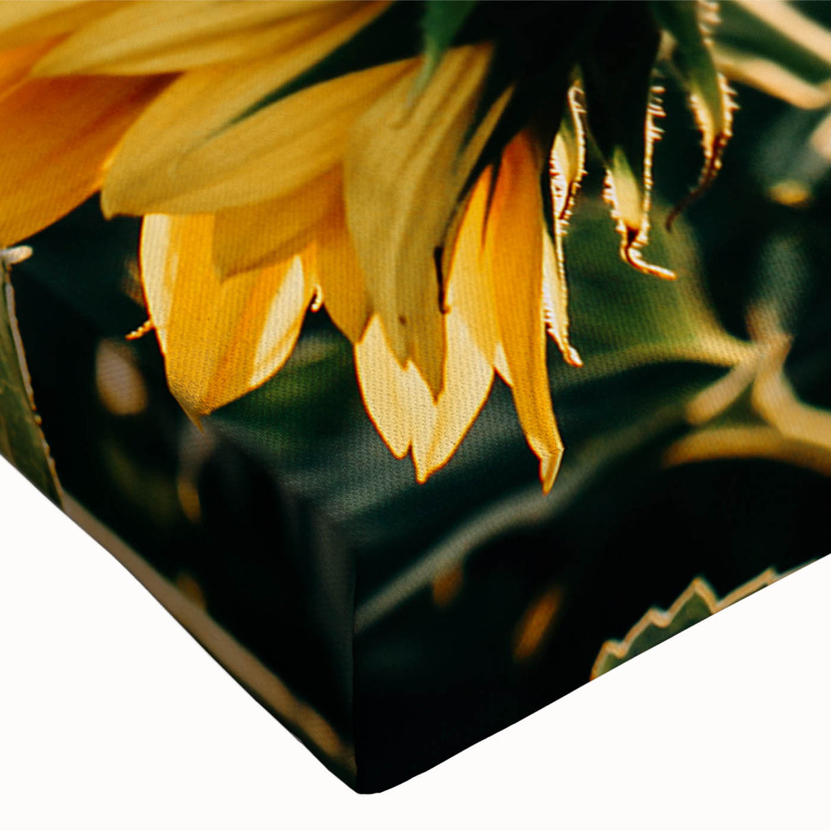 Farmhouse Wall Art: Sunflowers in Bloom - Rustic Country Style Decor Print
